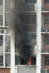 640 (1).gif
